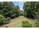 Expansive backyard with lush greenery and mature trees, perfect for outdoor activities at 260 Woody Ln, Oxford, NC 27565