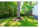 Lush green backyard with mature trees and well-maintained lawn at 2725 Bedford Ave, Raleigh, NC 27607