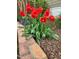 Charming garden with vibrant red tulips blooming along a brick-lined path at 501 Samara St, Apex, NC 27502