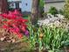 Lush garden featuring vibrant azaleas and a variety of plants, set against a backdrop of trees and fencing at 501 Samara St, Apex, NC 27502