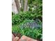 Landscaping and garden beside a tree. Includes garden bed and plants at 501 Samara St, Apex, NC 27502