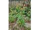 Perennials pop against the backdrop of a wood fence and stone border at 501 Samara St, Apex, NC 27502