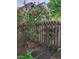 Charming yard with rose bushes climbing a wooden fence, complemented by greenery and landscaping at 501 Samara St, Apex, NC 27502