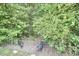 Two black pigs are in a fenced pen surrounded by green vegetation at 909 Goodwin Rd, Durham, NC 27712
