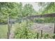 Fenced garden with rows of vegetables, small plants and protective netting at 909 Goodwin Rd, Durham, NC 27712