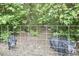 Enclosed pig pen showing curious pigs, a dirt ground and surrounding foliage at 909 Goodwin Rd, Durham, NC 27712
