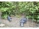 Pigs inside an enclosed pen, set against a backdrop of dense trees and greenery at 909 Goodwin Rd, Durham, NC 27712