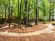 Woodland backyard featuring a stone path, mature trees, and lush greenery creating a serene and inviting outdoor space at 1204 Benoit Pl, Apex, NC 27502