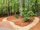 Landscaped backyard with a wood path, stone path, and lush greenery creating a serene and inviting outdoor space at 1204 Benoit Pl, Apex, NC 27502