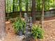 Water feature in wooded backyard features lush greenery, creating a serene and inviting outdoor space at 1204 Benoit Pl, Apex, NC 27502