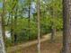 Scenic walking path through the woods, leading to community lake at 1641 Silo Ridge Dr, Wake Forest, NC 27587
