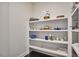 Bright, spacious pantry with multiple shelves for storing kitchenware and various items at 1808 Capstone Dr, Durham, NC 27713