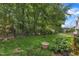 Spacious backyard with lush green grass, mature trees, and a wooden fence around the perimeter at 205 Forbes Rd, Wake Forest, NC 27587