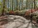 Gravel driveway lined with vibrant azaleas at 2600 Snow Hill Rd, Durham, NC 27712