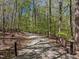 Gravel driveway leading to the property, lined with mature trees at 2600 Snow Hill Rd, Durham, NC 27712