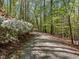 View of the gravel driveway lined with flowering shrubs and trees at 2600 Snow Hill Rd, Durham, NC 27712