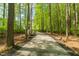 Picturesque driveway lined with trees and leading to a secluded home with manicured landscaping at 3010 Blueberry Ln, Chapel Hill, NC 27516