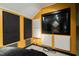 This soundproofed room provides privacy for content creation at 3010 Blueberry Ln, Chapel Hill, NC 27516