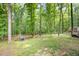 A lush, green backyard with a playground provides ample space for to play and enjoy the outdoors at 309 Appaloosa Trl, Bahama, NC 27503