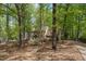 Classic brick home surrounded by mature trees and lush foliage, providing a sense of privacy at 309 Appaloosa Trl, Bahama, NC 27503