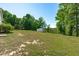 Expansive backyard featuring mature trees and lush greenery, with a small storage shed at 318 Duck Pond Ln, Clayton, NC 27520