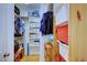 Well-organized walk-in closet with shelves and hanging storage for clothes and accessories at 3357 Denise St, Durham, NC 27704