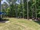 Large backyard featuring a playground, fire pit area, and mature trees at 497 Rockport Dr, Clayton, NC 27527