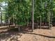 Wooded backyard with mature trees and natural ground cover at 497 Rockport Dr, Clayton, NC 27527