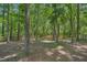 Spacious backyard surrounded by mature trees and a wooden fence at 10504 Carsons Creek Dr, Zebulon, NC 27597