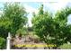 Image showcasing fruit trees with lush green foliage, adding beauty and character to the backyard at 107 Norwood Dr, Clayton, NC 27527