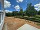 A view of the expansive backyard features lush greenery and a serene treeline at 1248 Randwick Valley Ct, Zebulon, NC 27597