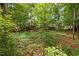 Secluded backyard with mature trees and lush greenery, providing privacy and a natural ambiance at 15 Aman Ct, Durham, NC 27713
