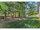 Secluded backyard featuring a lush lawn, mature trees and a black metal fence providing privacy at 151 Cobble Ridge Dr, Pittsboro, NC 27312