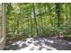 Wooden deck overlooking a lush wooded area providing natural light and a sense of privacy at 201 Red Bud Ln, Chapel Hill, NC 27514