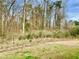 Backyard with trees and grass at 2193 Boyd Creek Dr, Graham, NC 27253