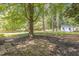 Backyard featuring a large tree with a hammock and brick patio at 2300 Radius Cir, Sanford, NC 27330