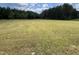 Expansive yard surrounded by lush trees at 2483 Mcneill Hobbs Rd, Bunnlevel, NC 28323