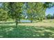 Scenic view of a home's backyard overlooking a serene pond and lush greenery at 3714 Mt Zion Church Rd, Mebane, NC 27302