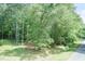 A serene wooded backyard offers privacy and natural beauty at 4221 River Run Dr, Sanford, NC 27332
