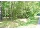 A large wooded backyard is lush with mature trees and greenery at 4221 River Run Dr, Sanford, NC 27332