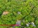 An aerial view shows an approximate outline of the property surrounded by lush and dense trees at 445 Ridge Springs Dr, Chapel Hill, NC 27516