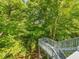 A high vantage point back deck surrounded by beautiful trees and natural landscaping at 445 Ridge Springs Dr, Chapel Hill, NC 27516