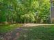 A wooded backyard with lush trees and foliage at 445 Ridge Springs Dr, Chapel Hill, NC 27516