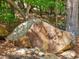 A rock with the house address is the focal point in this wooded exterior at 445 Ridge Springs Dr, Chapel Hill, NC 27516