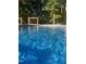 Tranquil pool with crystal-clear water, surrounded by trees, offers a serene retreat for relaxation and recreation at 7824 Hemlock Ct, Raleigh, NC 27615