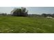 Lush green backyard view overlooking the surrounding neighborhood at 94 Starry Sky Dr, Benson, NC 27504