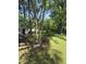 Lush backyard featuring mature trees, flowering plants, and a storage shed at 1157 S Cambridge Cir, Rocky Mount, NC 27801