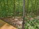 Lush trees provide privacy and shade, creating a serene outdoor environment that invites relaxation and exploration at 120 Spring Hollow Ln, Cary, NC 27518