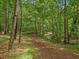 Picturesque path with mature trees creating a serene and private nature walking experience at 120 Spring Hollow Ln, Cary, NC 27518