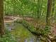 Gentle stream cascading through a vibrant green forest, creating a peaceful ambiance at 120 Spring Hollow Ln, Cary, NC 27518